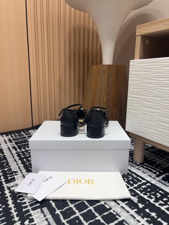 Dior Shoe 